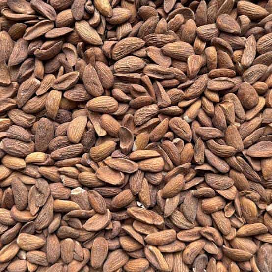مغز بادام درختی عمده مناسب مصارف صنعتی و فروشگاهی